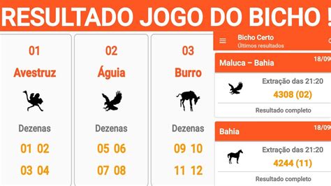 resultado do jogo do bicho da banca paraibana - resultado do bicho do pb